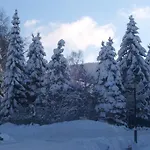 ゲストハウス Am Kurmittelhaus 2*