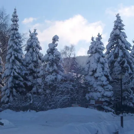 Konukevi Am Kurmittelhaus 2*